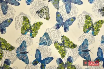 Butterfly 03