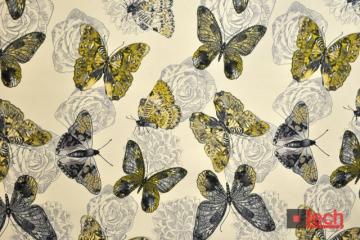 Butterfly 02
