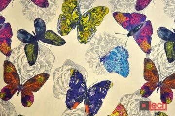 Butterfly 04