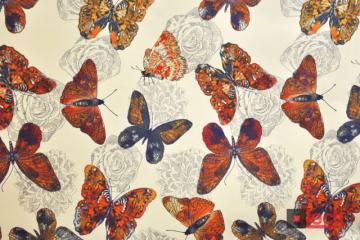 Butterfly 05